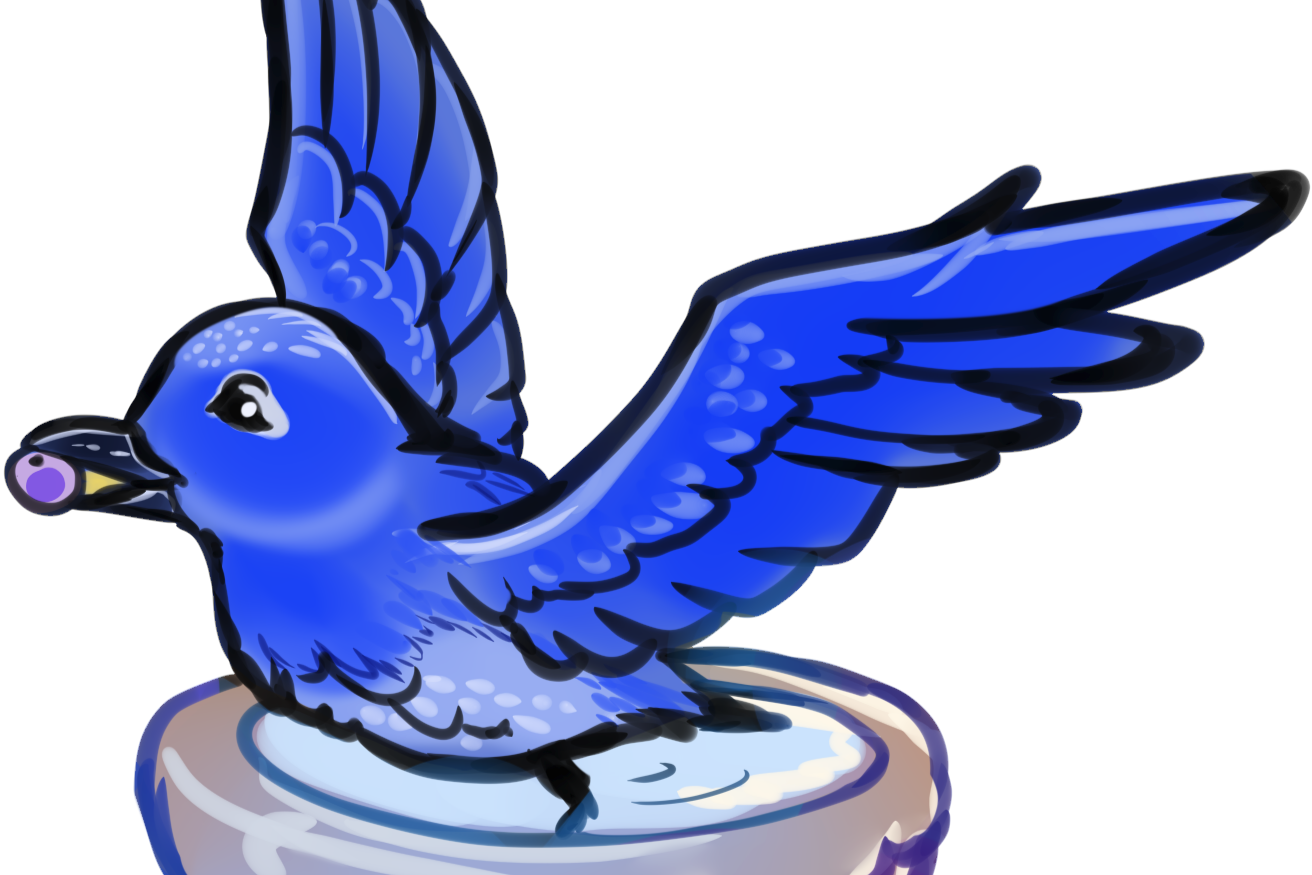 Indie the Bue Jay next to an Indigo Milky Cap mushroom