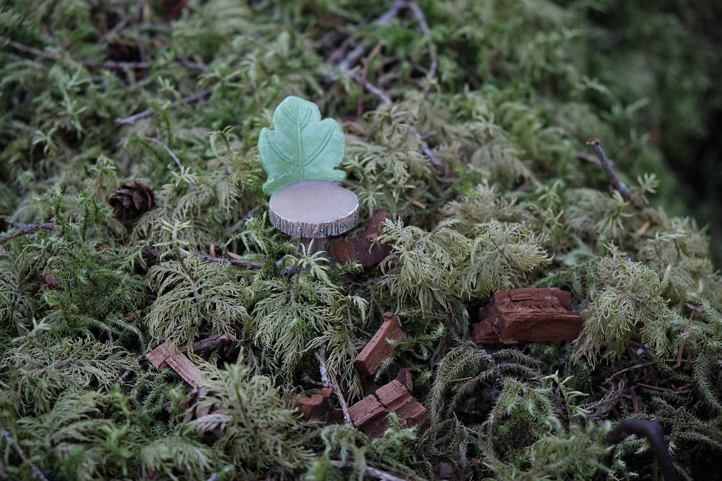 A leafy fairy chair in a bed of moss