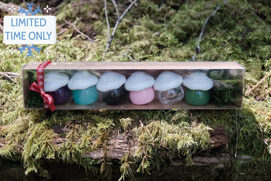 Box containing 6 mushroom shaped reuasable jars which each hold a single serving of tea. A little red ribbon ties it together.