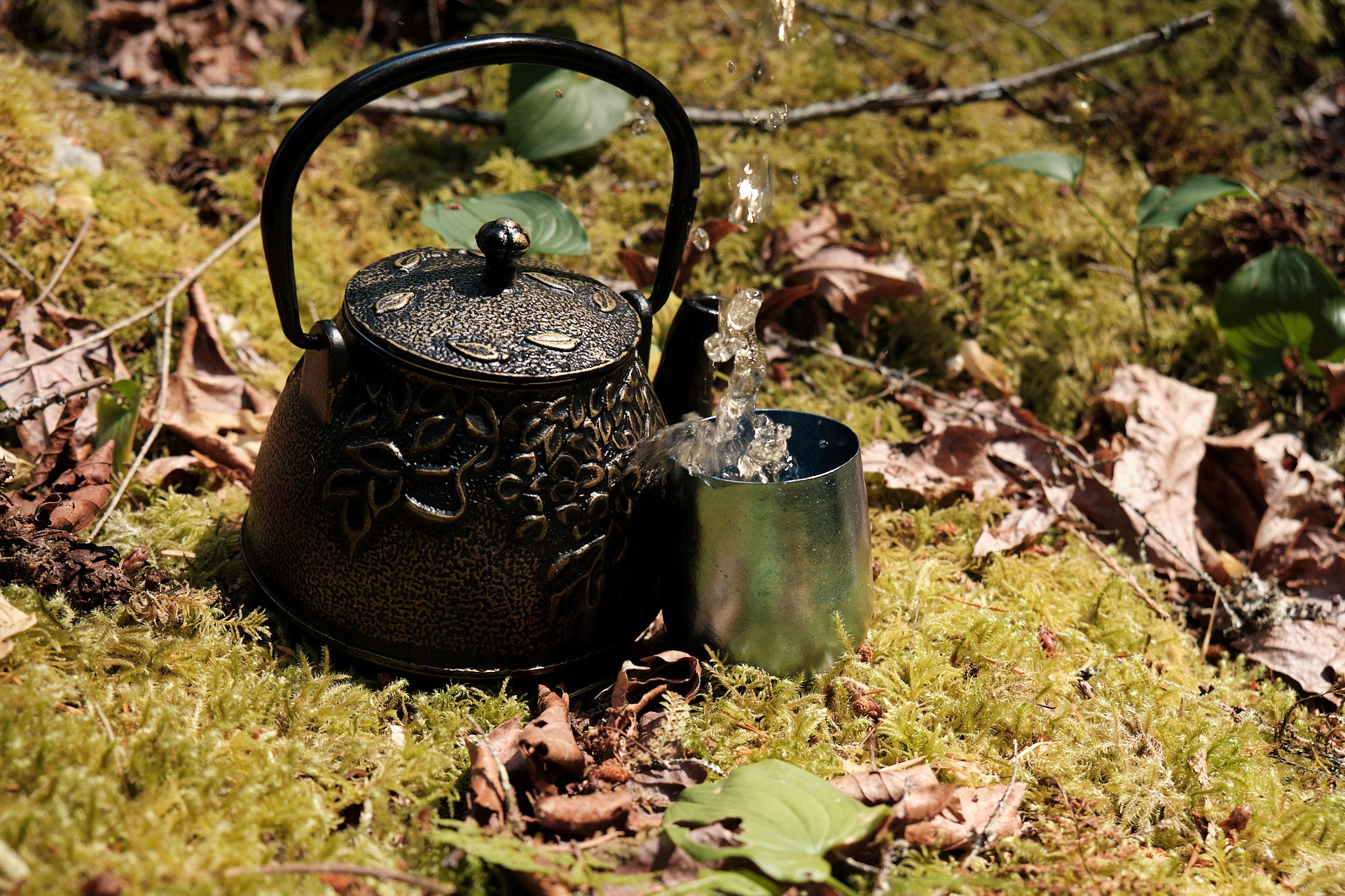 Tea pouring into a small titanium cup sitting on a bed of moss