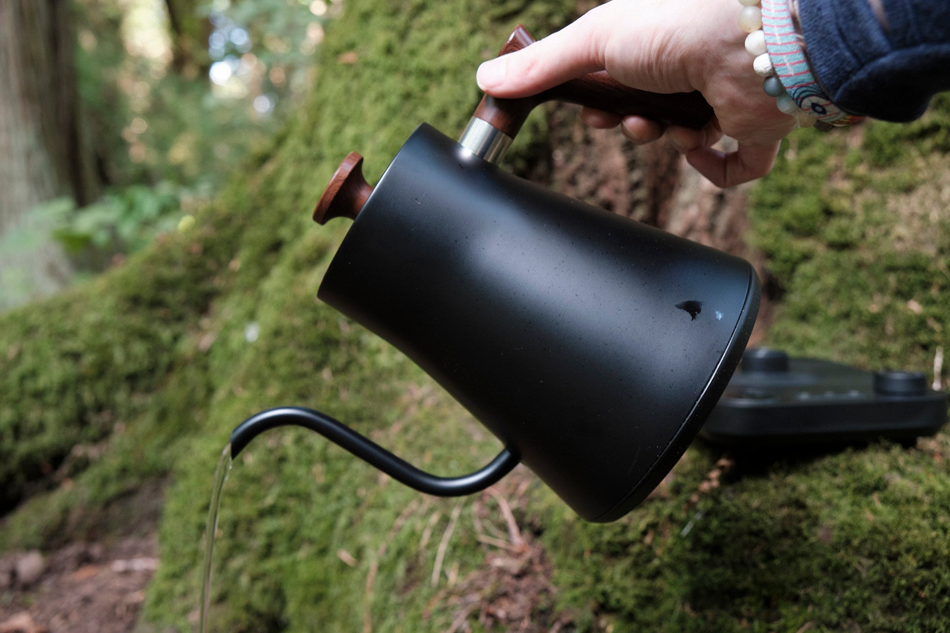 Fern Leaf Forest Electric Gooseneck Kettle