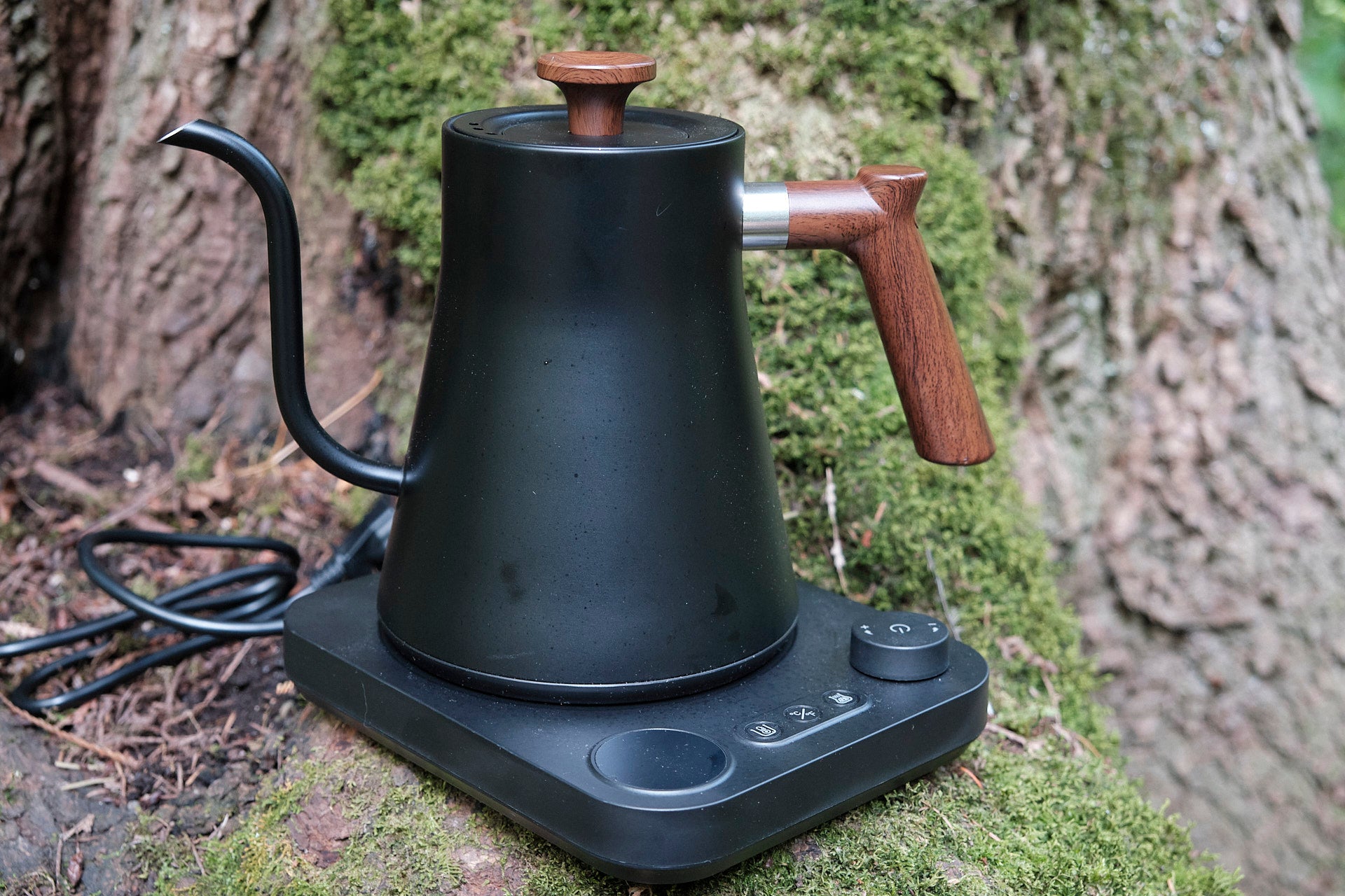 Fern Leaf Forest Electric Gooseneck Kettle