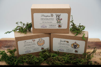 Mycorzha Tea-Scented Wax Melts