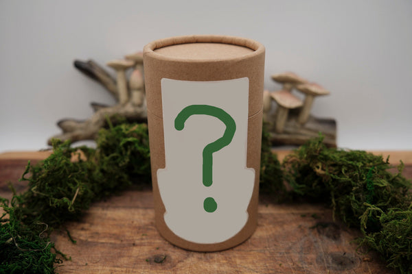 Beyonder's Tea Lovers Club