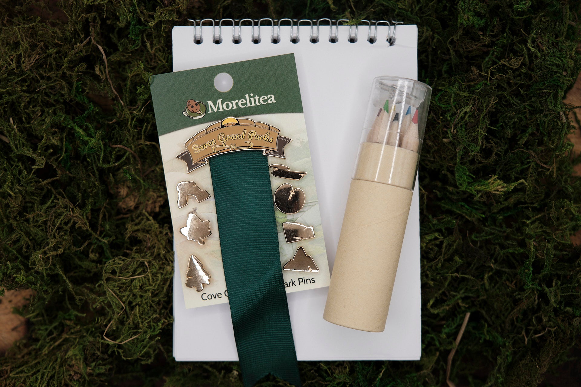 Cove City Rangers: A Morelitea TeaRPG