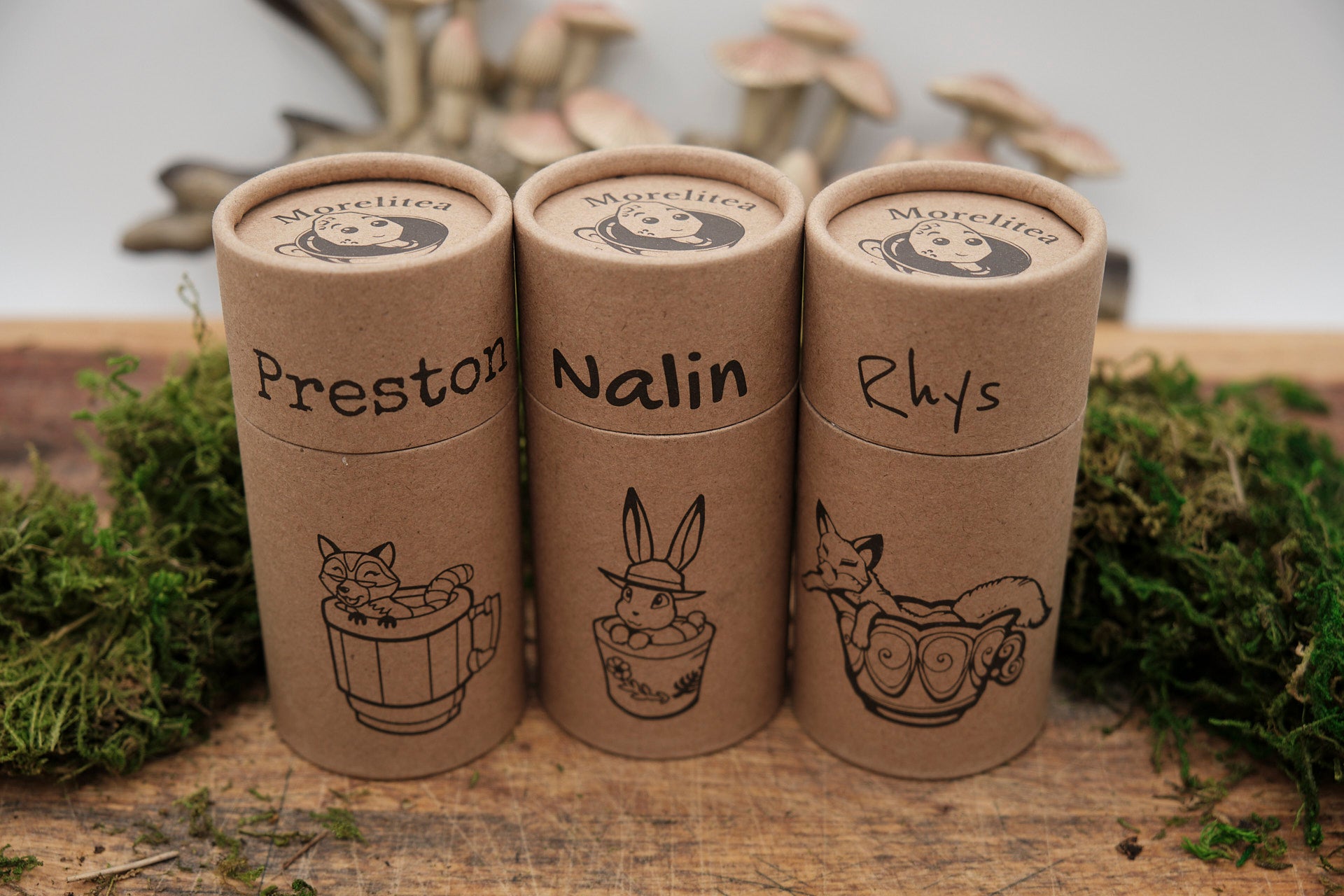 Cove City Tea Sample Pack