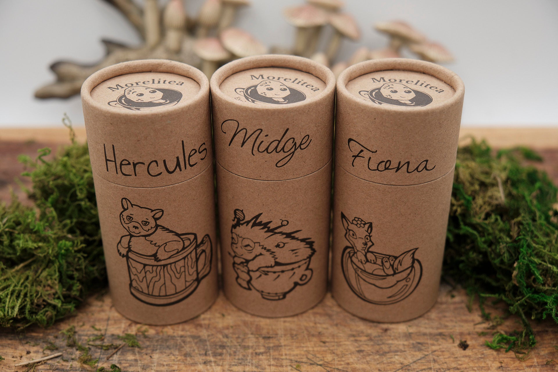 Hazelmoss Woods Tea Sample Pack