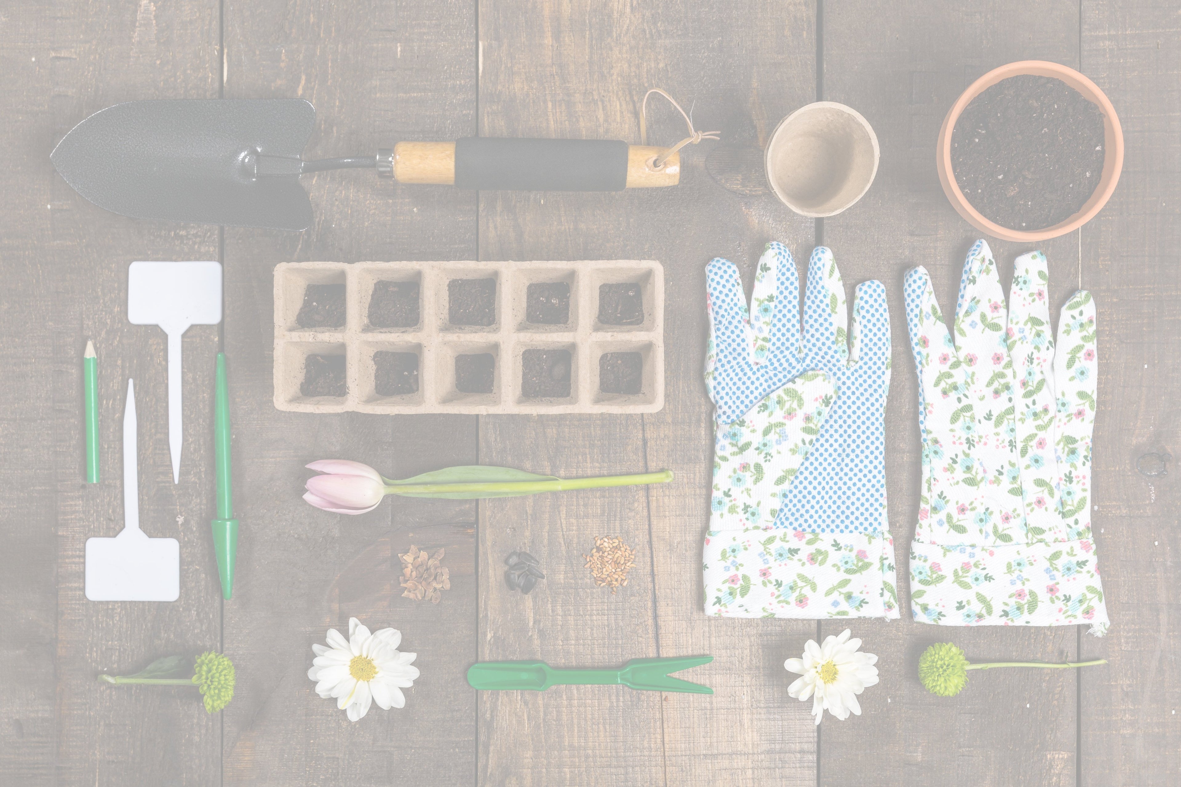 Table with various gardening supplies